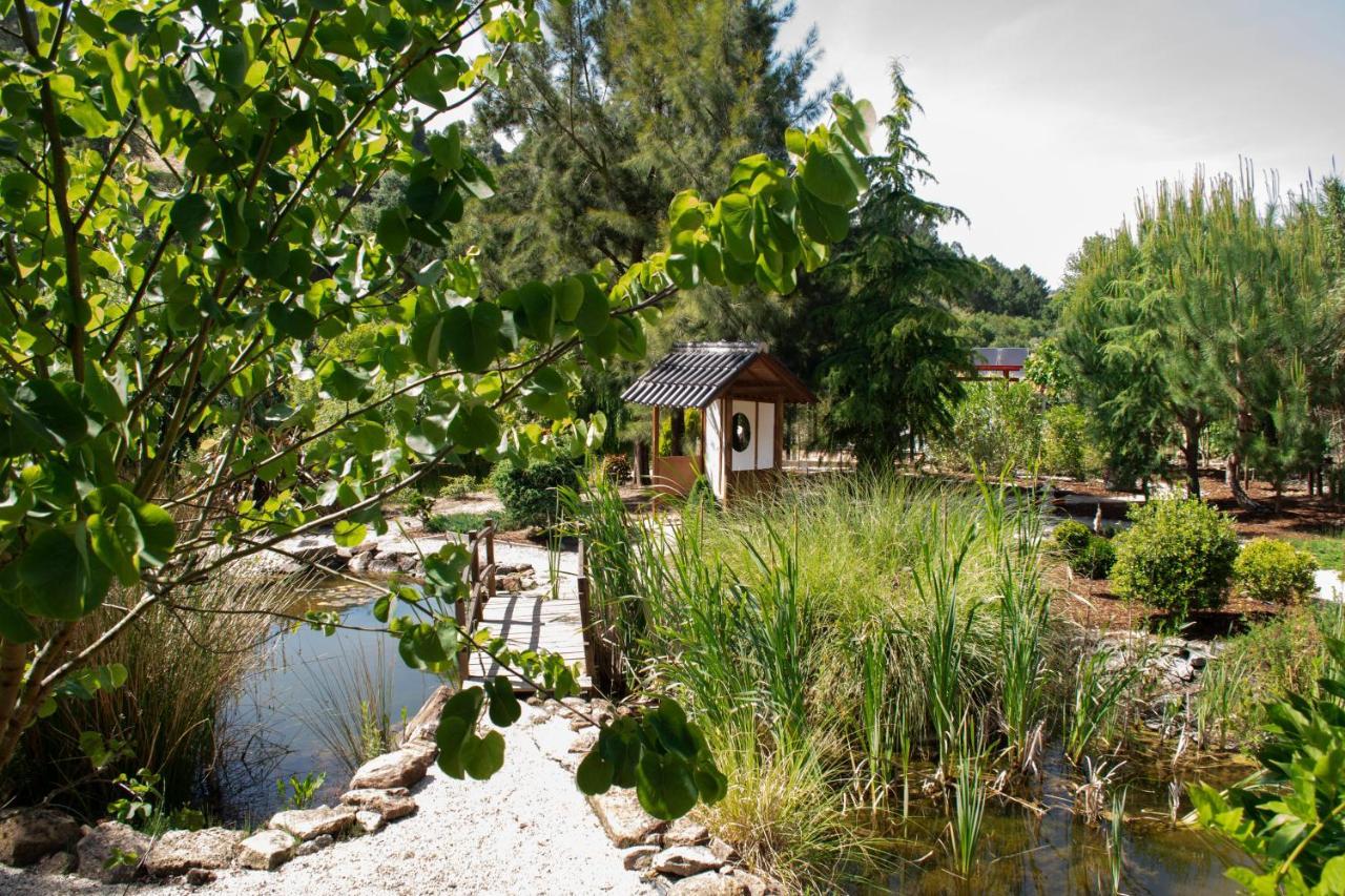Bed and Breakfast Quinta Japonesa Carvalhal Bemfeito Экстерьер фото